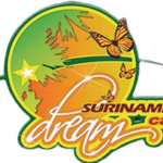 Logo Dreamcafe