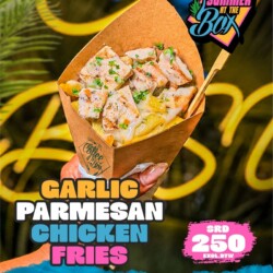 garlic parmesan chicken fries